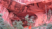 PICTURES/Zion National Park - Yes Again/t_Double Arch Alcove4.jpg
